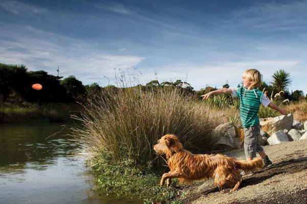 Kurgo Skipping Stones 3-er Pack Kurgo Skipping Stones 3-er Pack